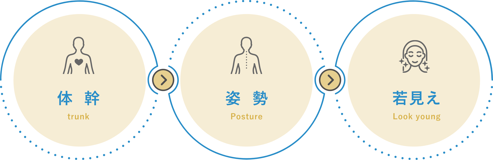 体幹 trunk 姿勢 Posture 若見え Look young